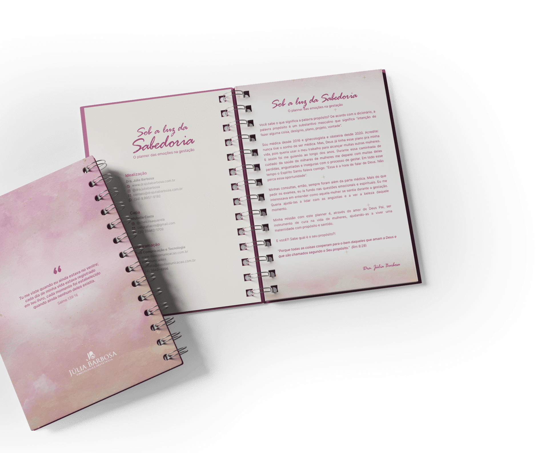 Sob a luz da sabedoria